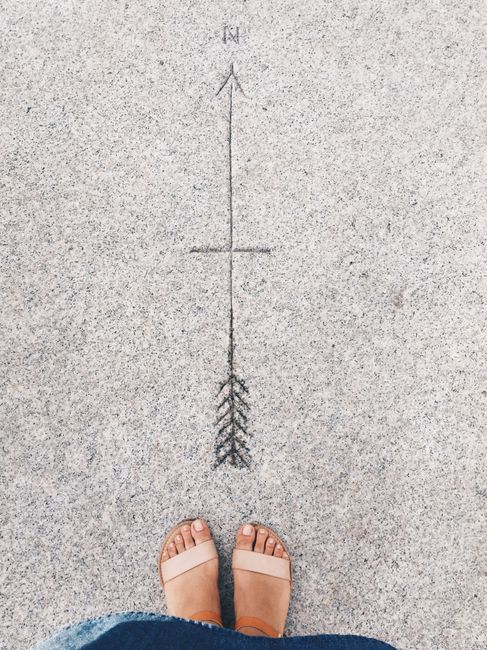 A handful of compass arrows pointing in different directions on a map.